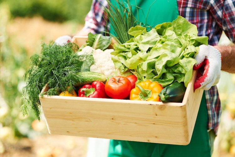 slow food agricultura local